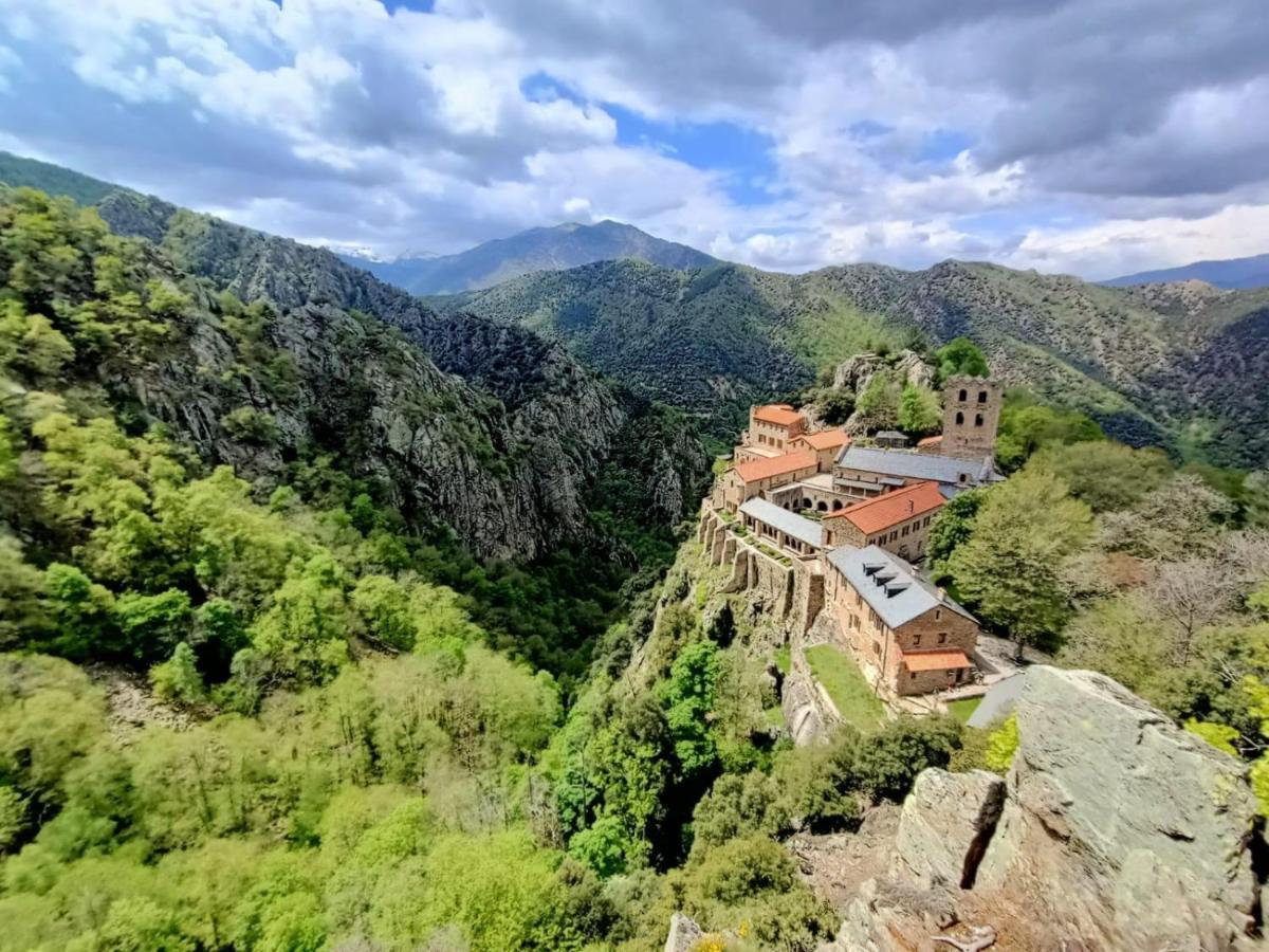 Le Mas Palegry Chambres D'Hotes Perpignan Eksteriør bilde